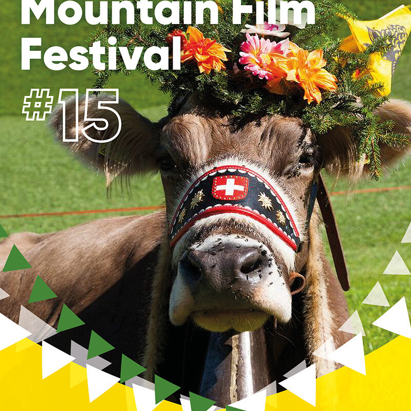 Poster van het 15e Dutch Mountain Film Festival